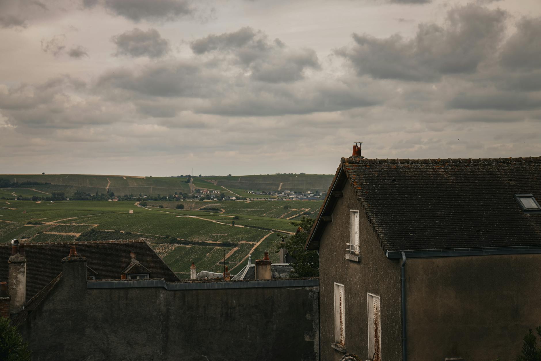 Champagne region vineyards across rolling hills near Reims