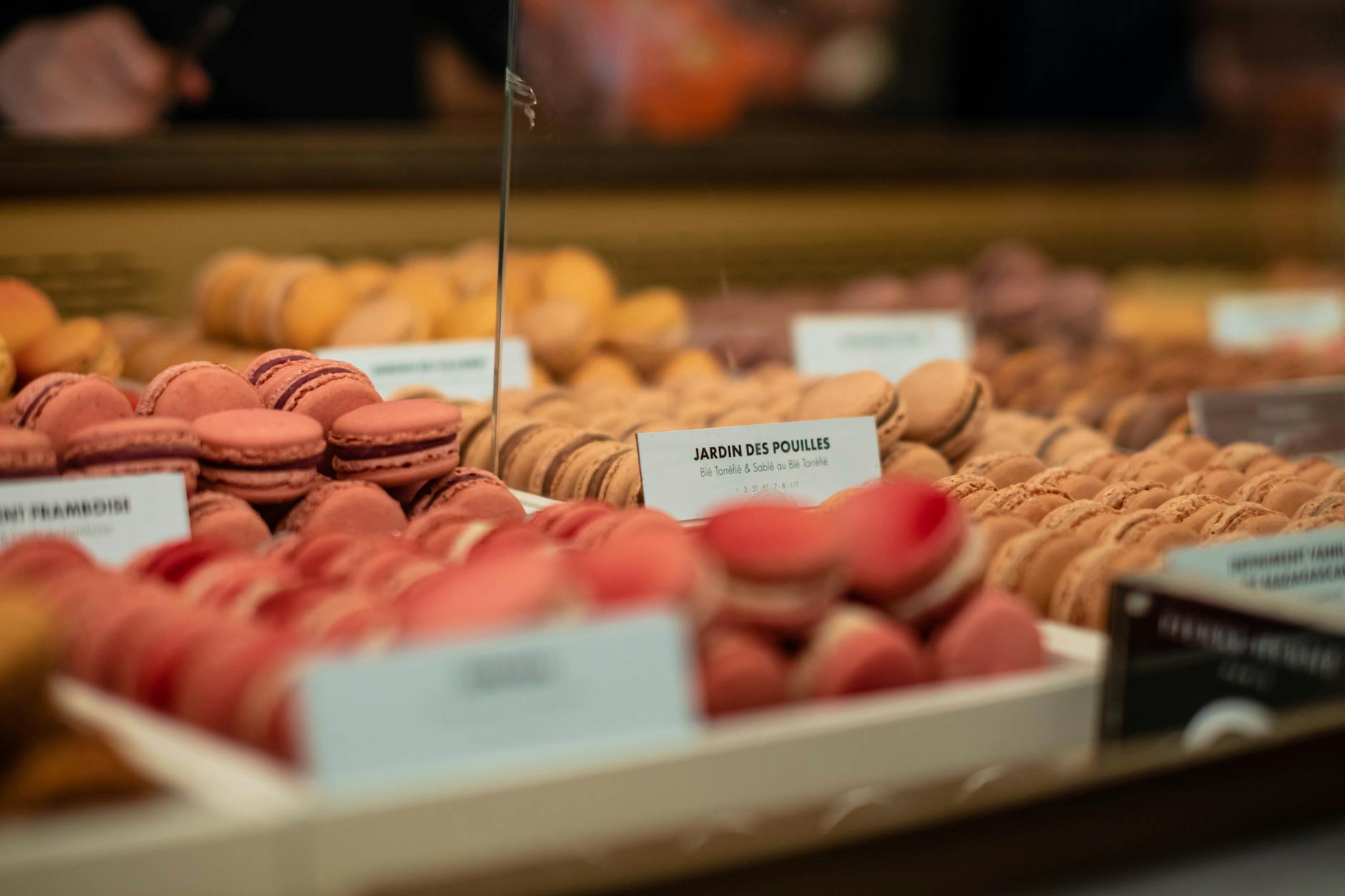 Colorful French macarons from a Parisian patisserie display