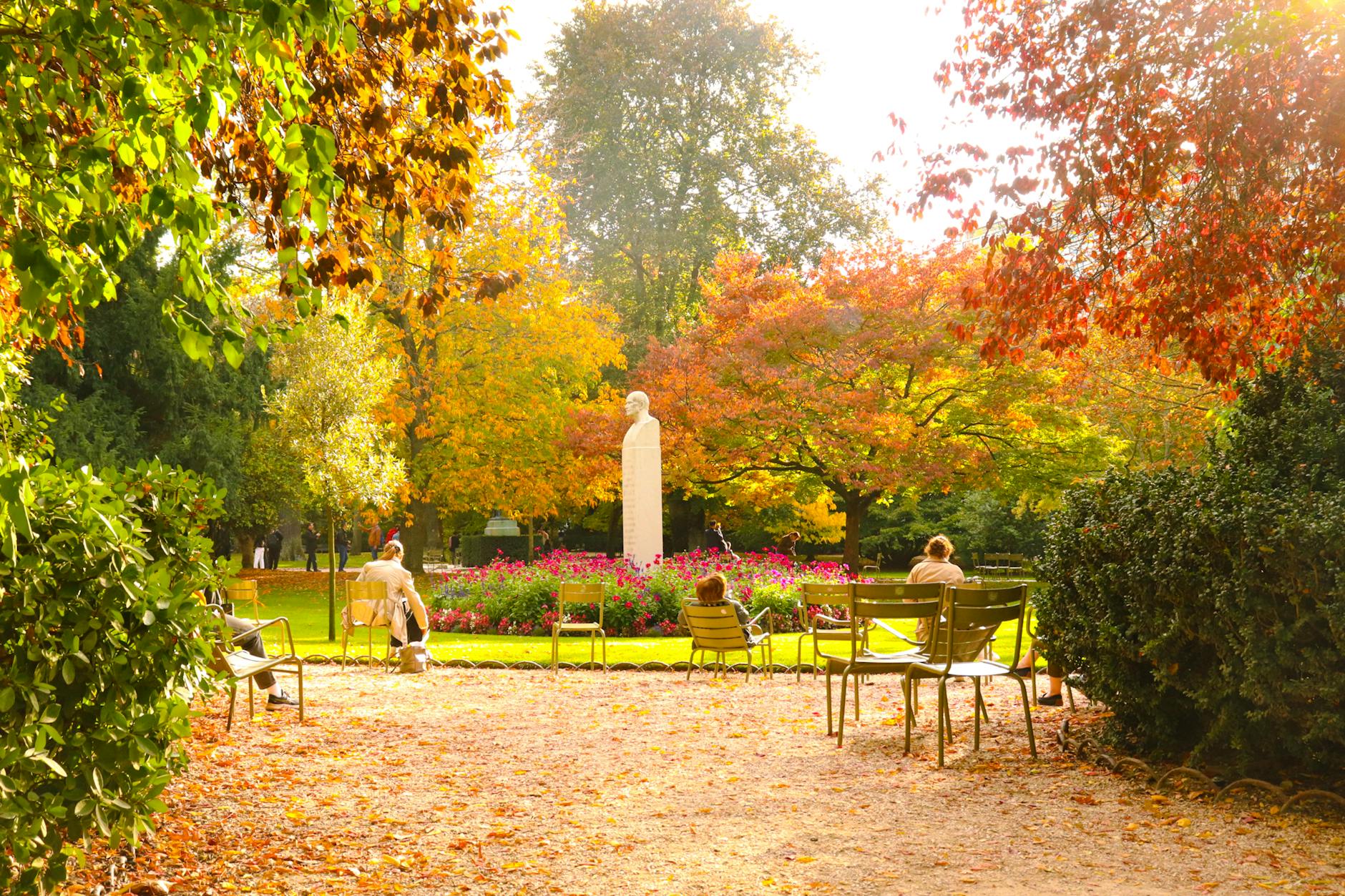 Golden autumn leaves in a Paris garden during fall season