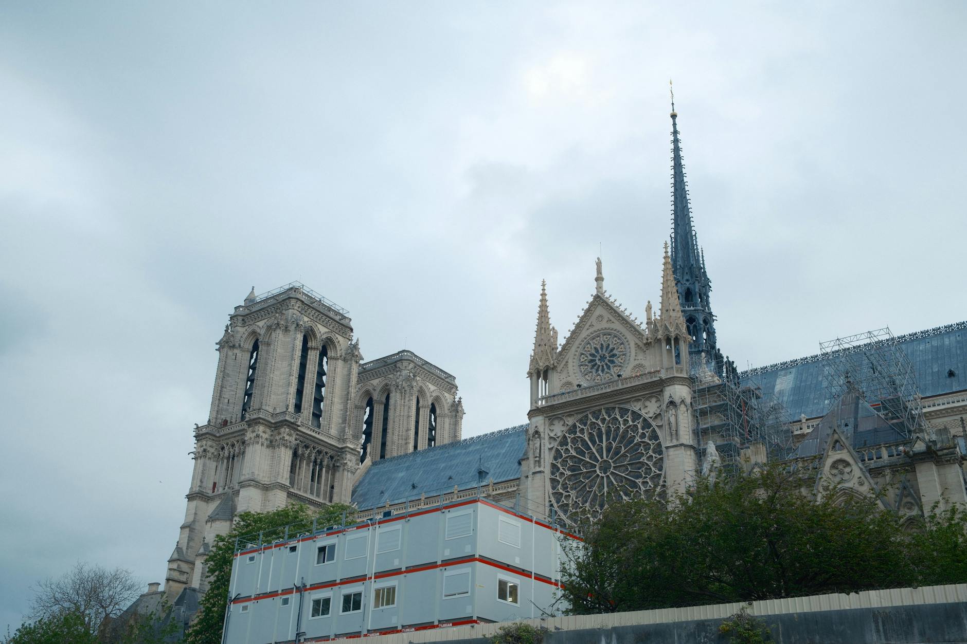 Paris scene - notre dame cathedral paris visit reopening