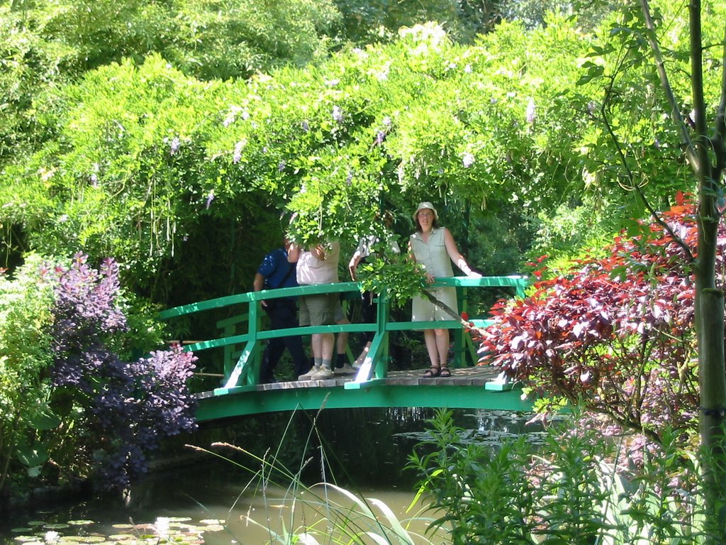 The green Japanese footbridge over Monet's water lily pond at Giverny, hung with wisteria and surrounded by planting