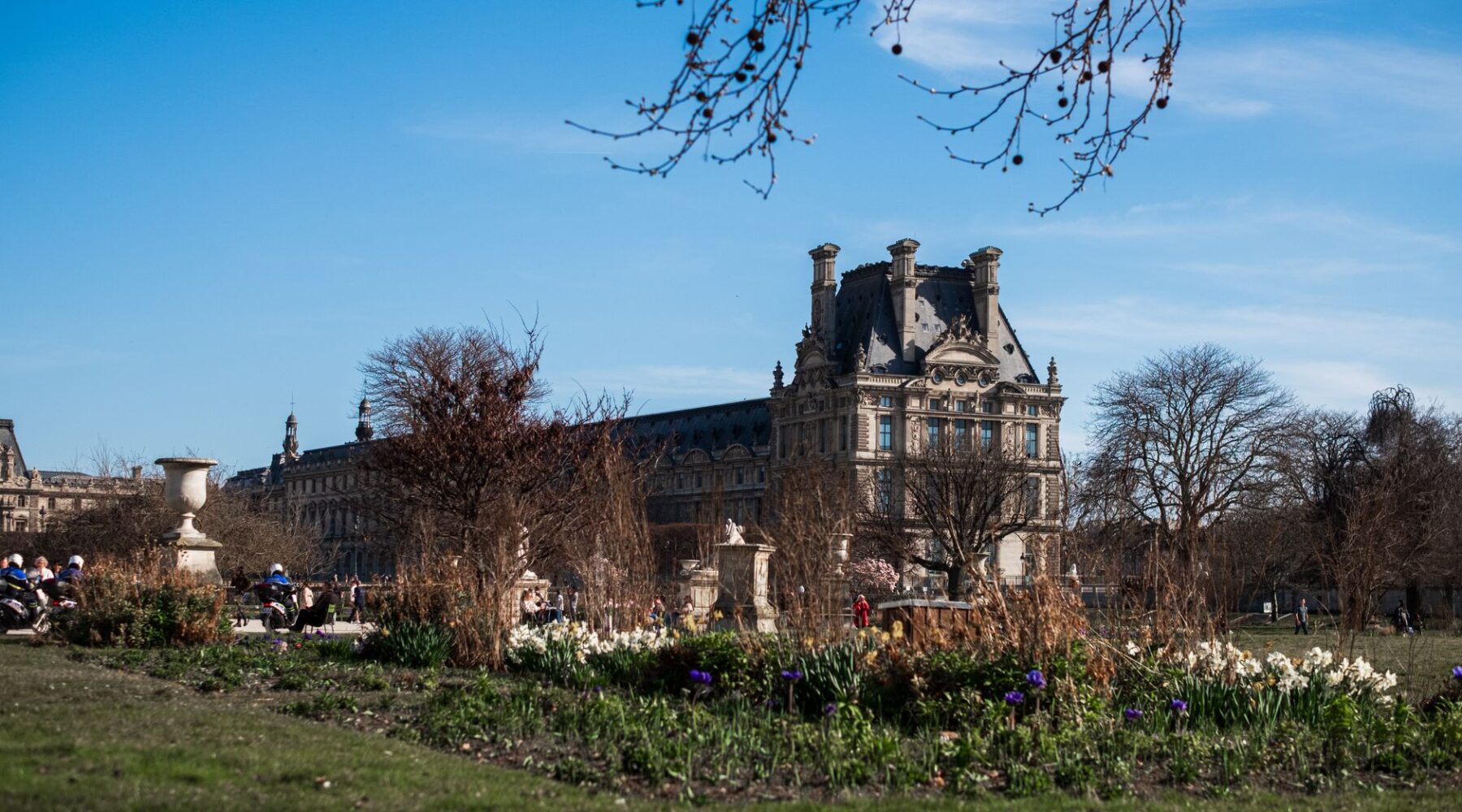 Spring flowerbeds and bare trees in the Jardin des Tuileries under a blue sky, with a domed pavilion of the Louvre behind