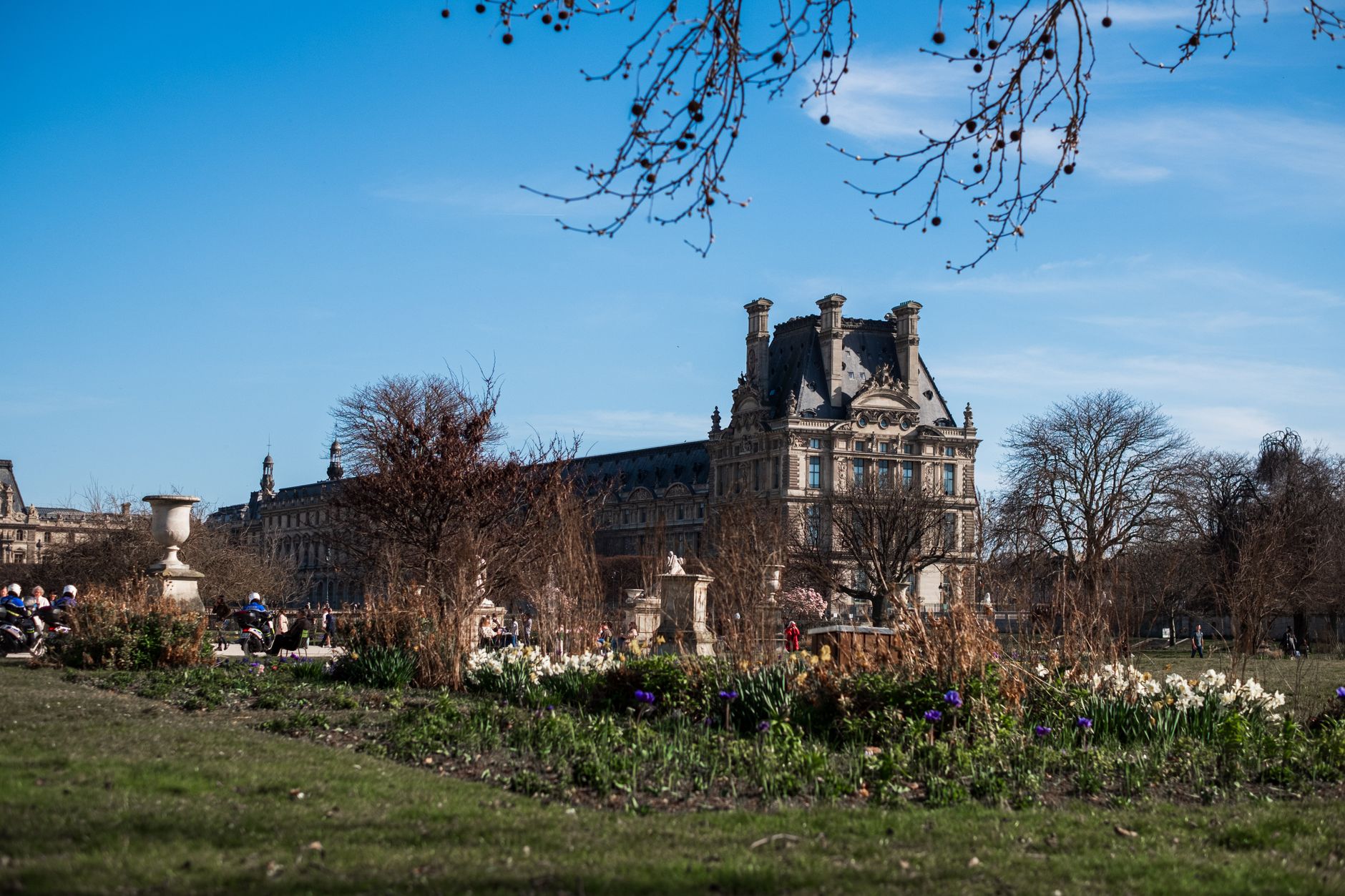 Spring flowerbeds and bare trees in the Jardin des Tuileries under a blue sky, with a domed pavilion of the Louvre in the distance