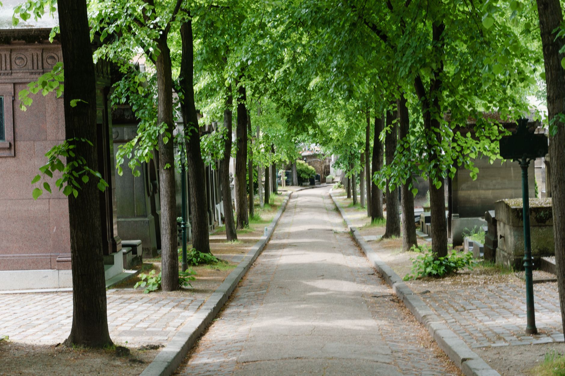 A long straight cobbled avenue in Père Lachaise Cemetery lined with tall green trees and family chapels on both sides