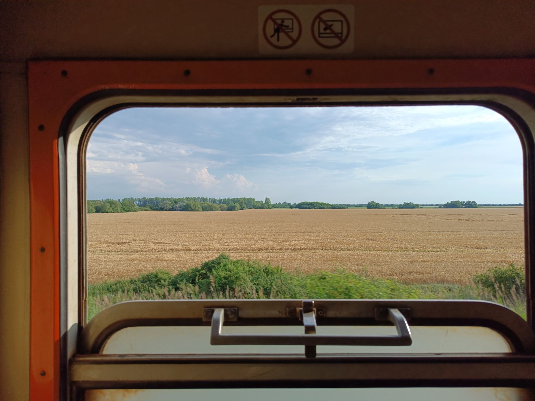 Golden wheat fields and a line of distant trees seen through the open window of a train carriage on a sunny day