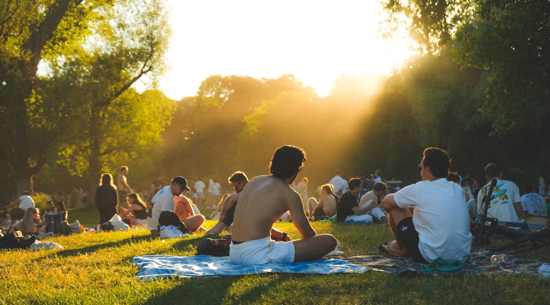 People picnicking and sitting on the grass in a park in warm golden evening sunlight, with trees silhouetted against the sun