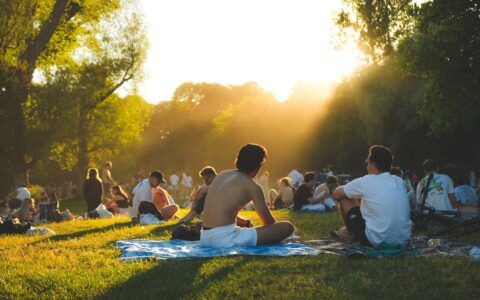 People picnicking and sitting on the grass in a park in warm golden evening sunlight, with trees silhouetted against the sun