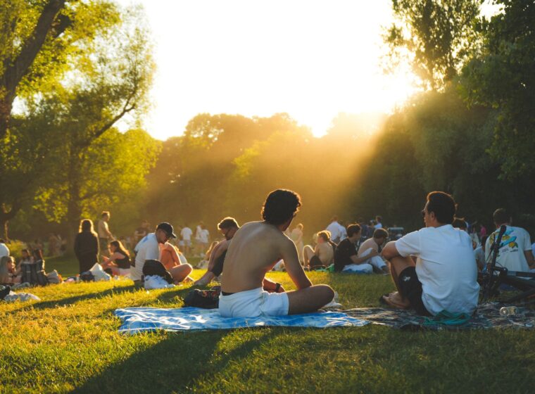 People picnicking and sitting on the grass in a park in warm golden evening sunlight, with trees silhouetted against the sun